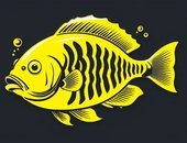 YellowFishTv